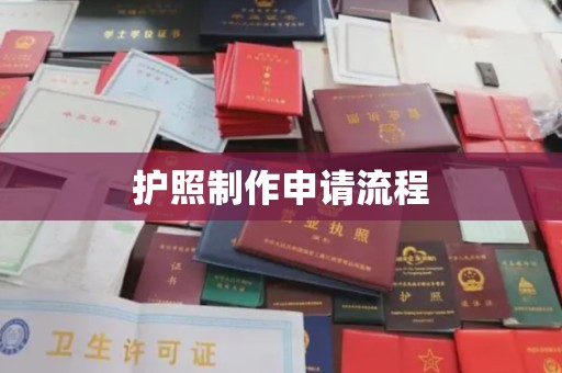 漳州护照制作申请流程